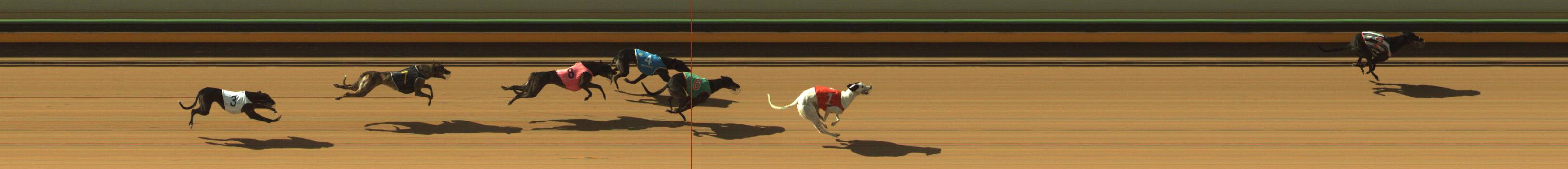 Race result finish photo
